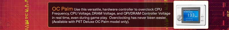 OC Palm